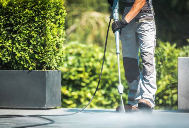 Best Sidewalk and Walkway Cleaning  in Whitehouse, TX