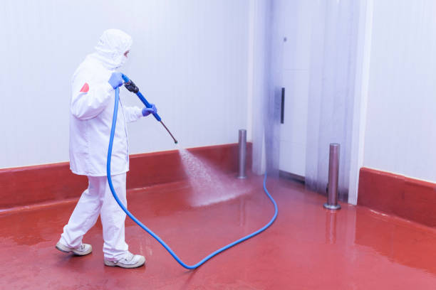 Best Pre-Holiday Cleaning  in Whitehouse, TX